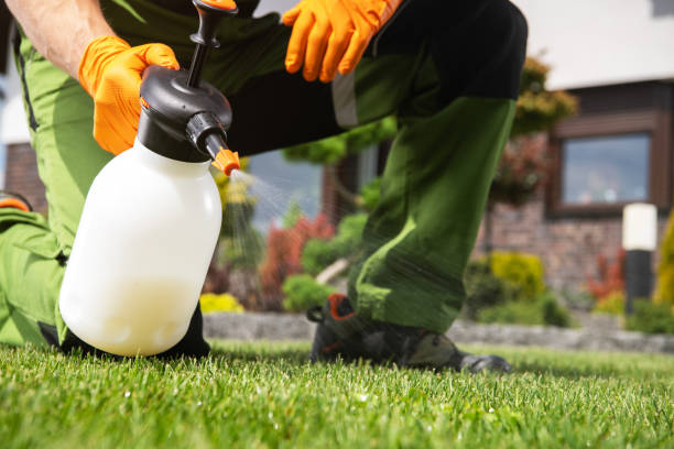 Best Pest Inspection Near Me  in Baltimore Highlands, MD