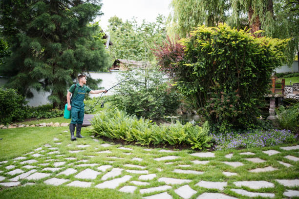 Best Ant Control Services  in Baltimore Highlands, MD