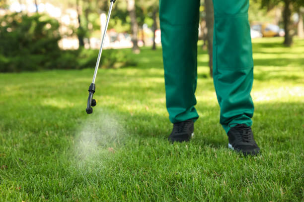 Best Pest Removal Services  in Baltimore Highlands, MD
