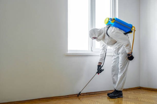 Best Affordable Pest Control Services  in Baltimore Highlands, MD